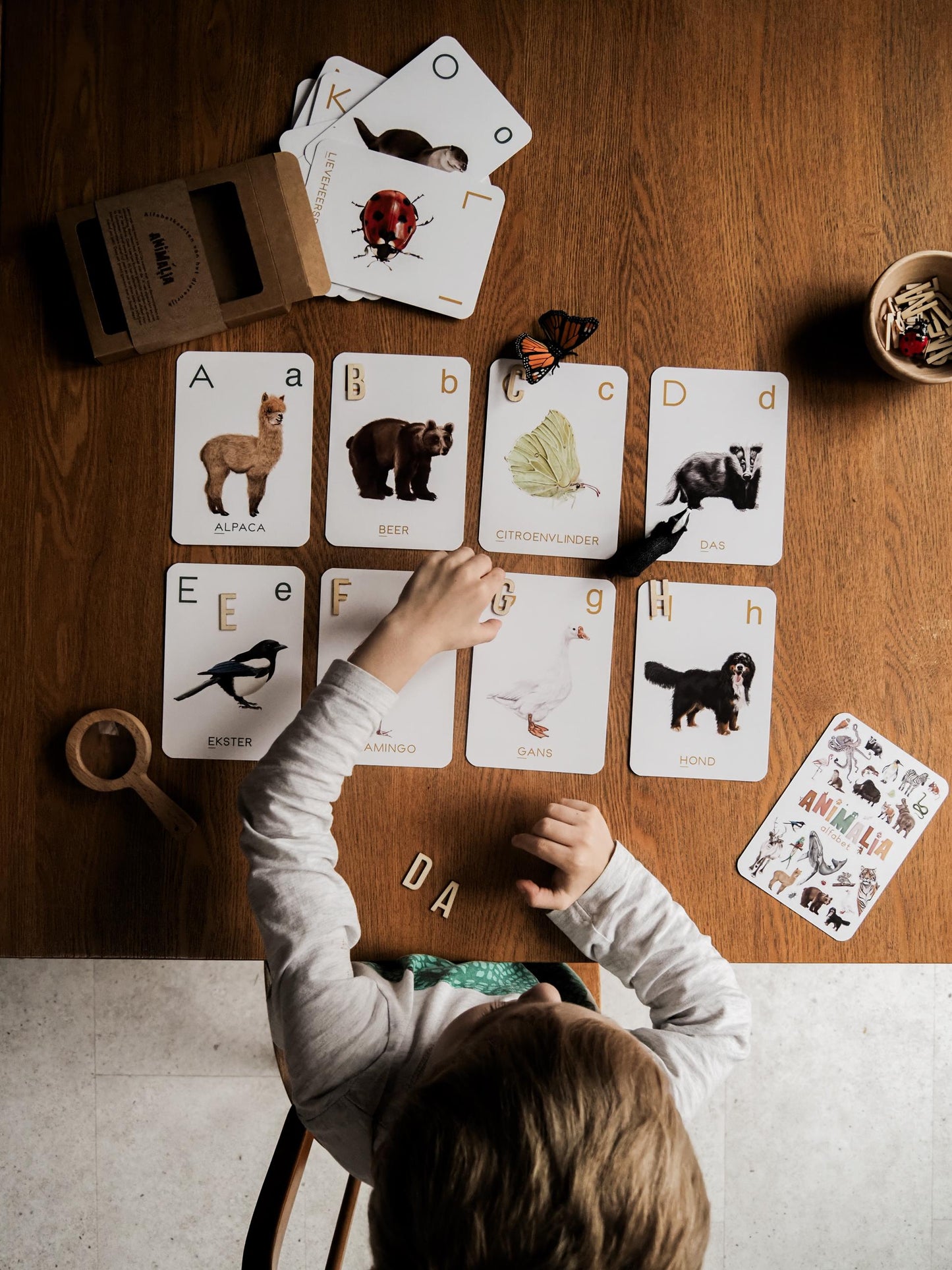 Animalia Alfabet kaartenset