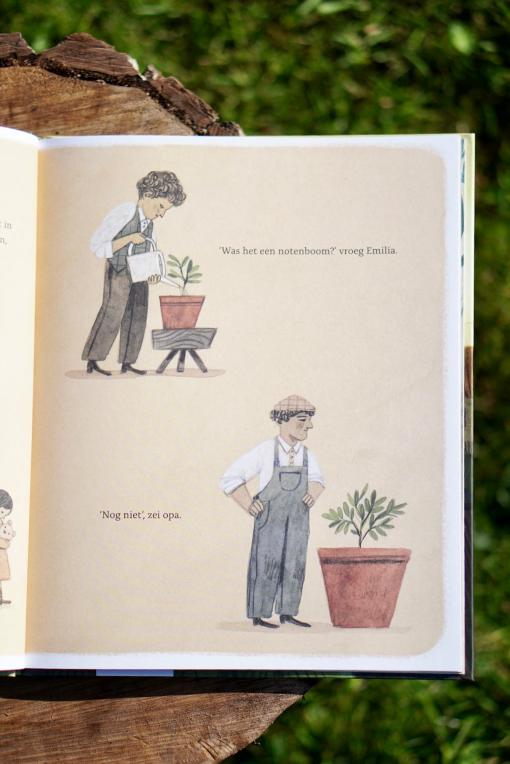 Opa en de walnoot - Ammi-Joan Paquette