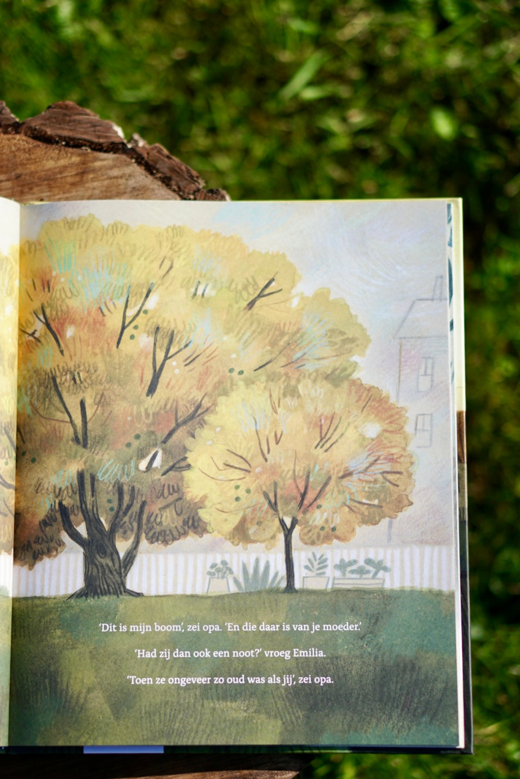 Opa en de walnoot - Ammi-Joan Paquette