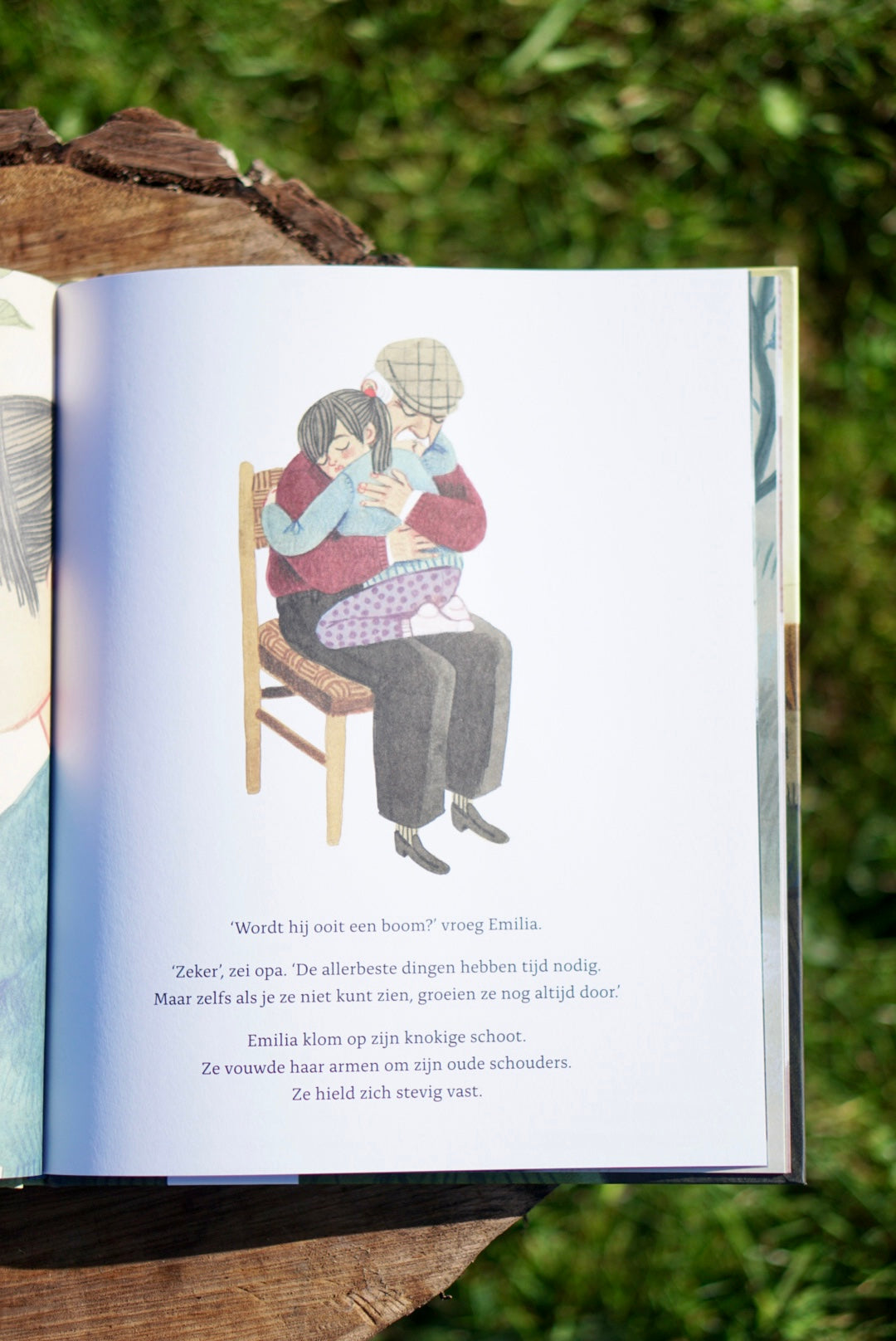 Opa en de walnoot - Ammi-Joan Paquette