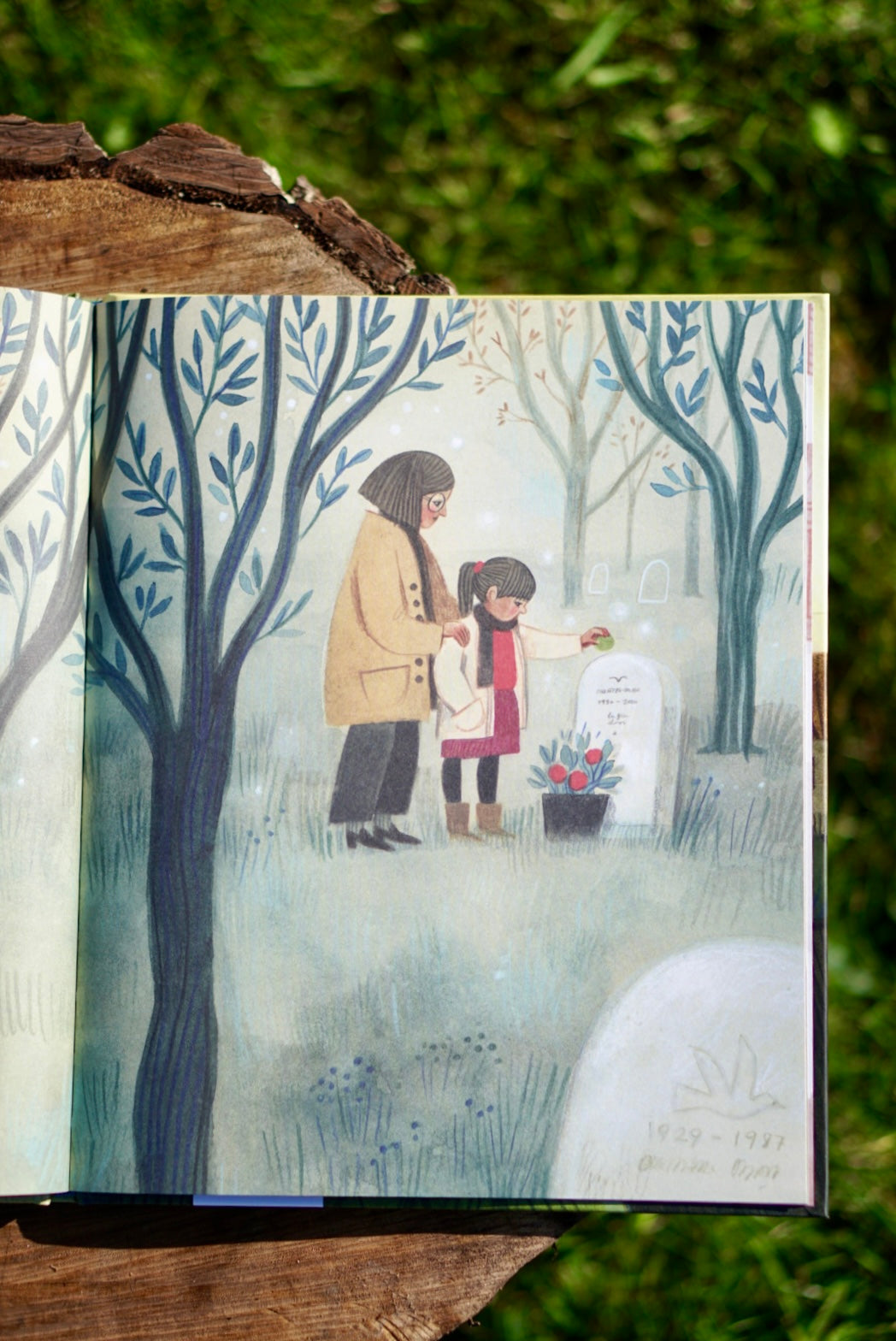 Opa en de walnoot - Ammi-Joan Paquette