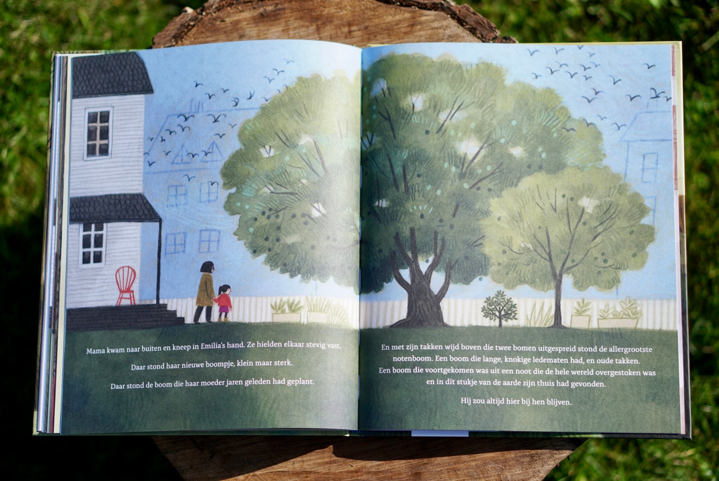 Opa en de walnoot - Ammi-Joan Paquette