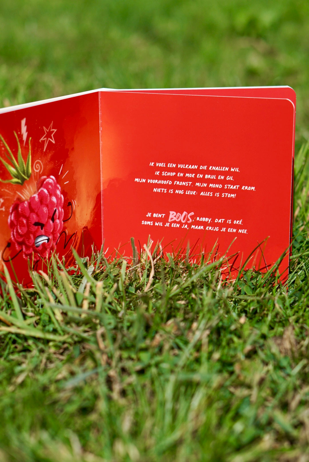 Jij maakt mij framblij - Höngry