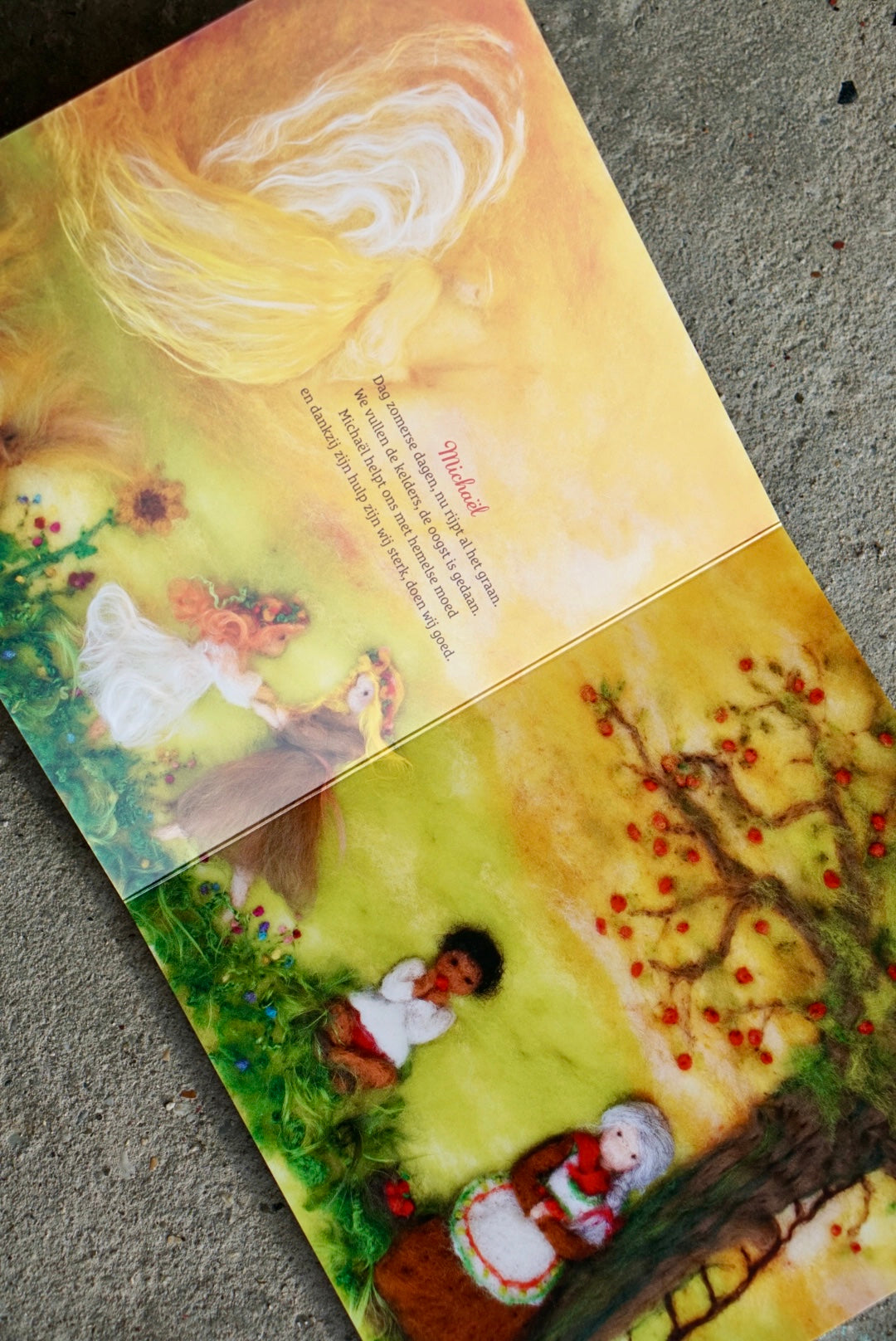 Wij vieren feest! Herfst & winter - Susannah van Asch-Yasuda