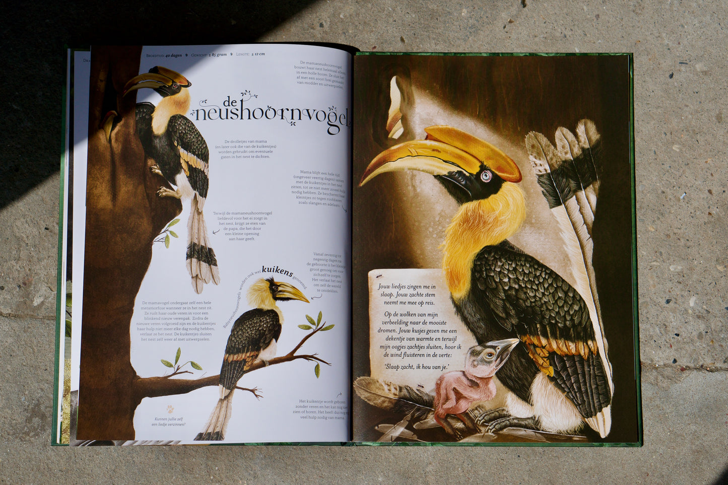 Wild van mama - Jessie Jans