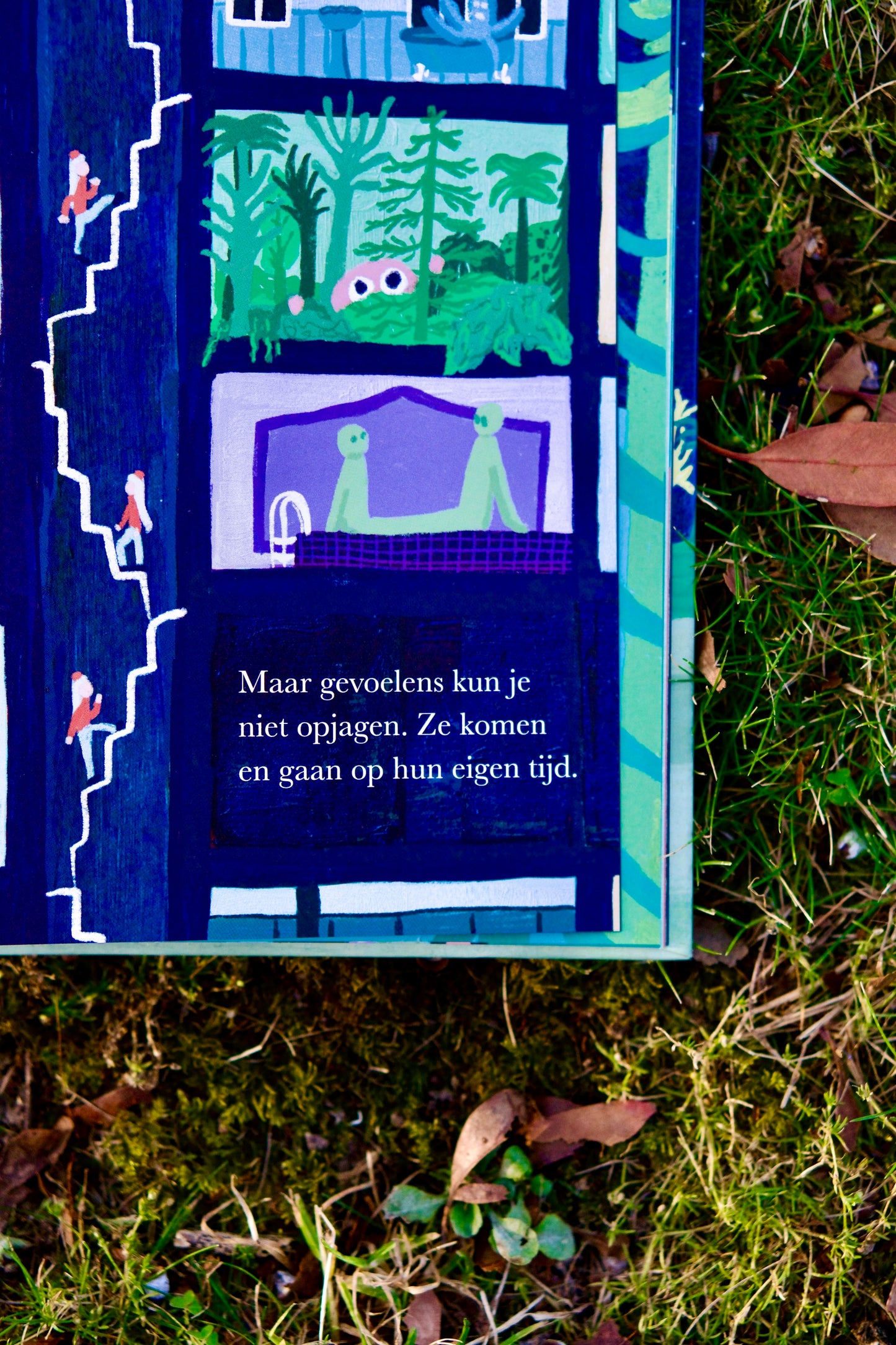 Het grote gevoelenshotel | Lidia Brankovic