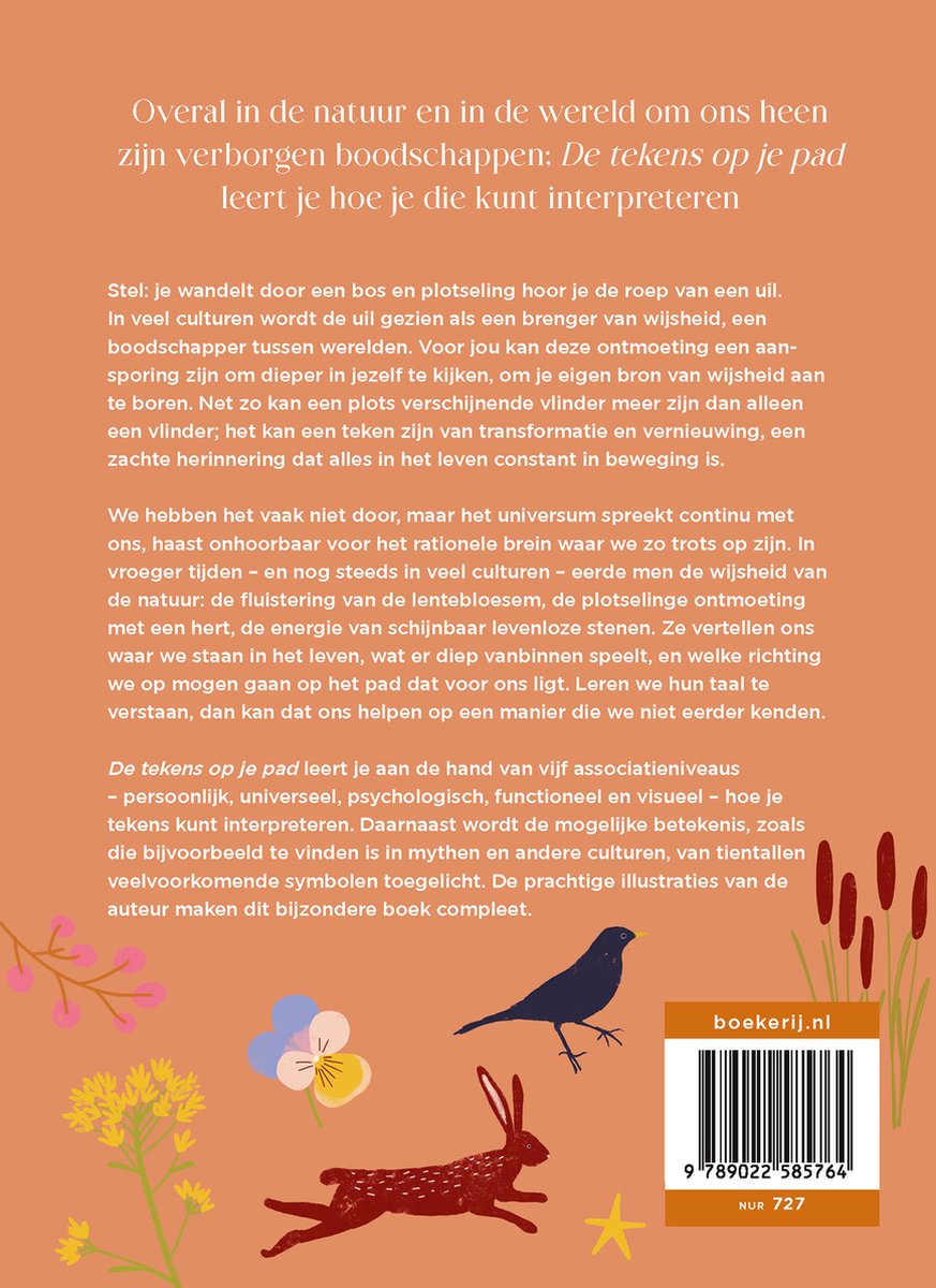 De tekens op je pad | Petra van Dreumel
