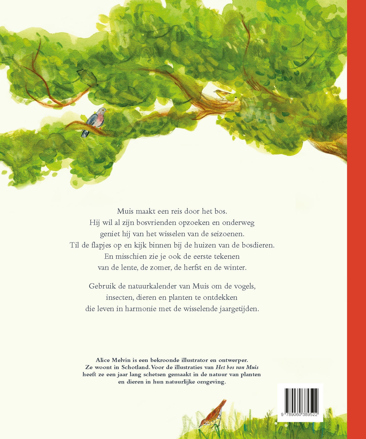 Het bos van muis | Alice Melvin