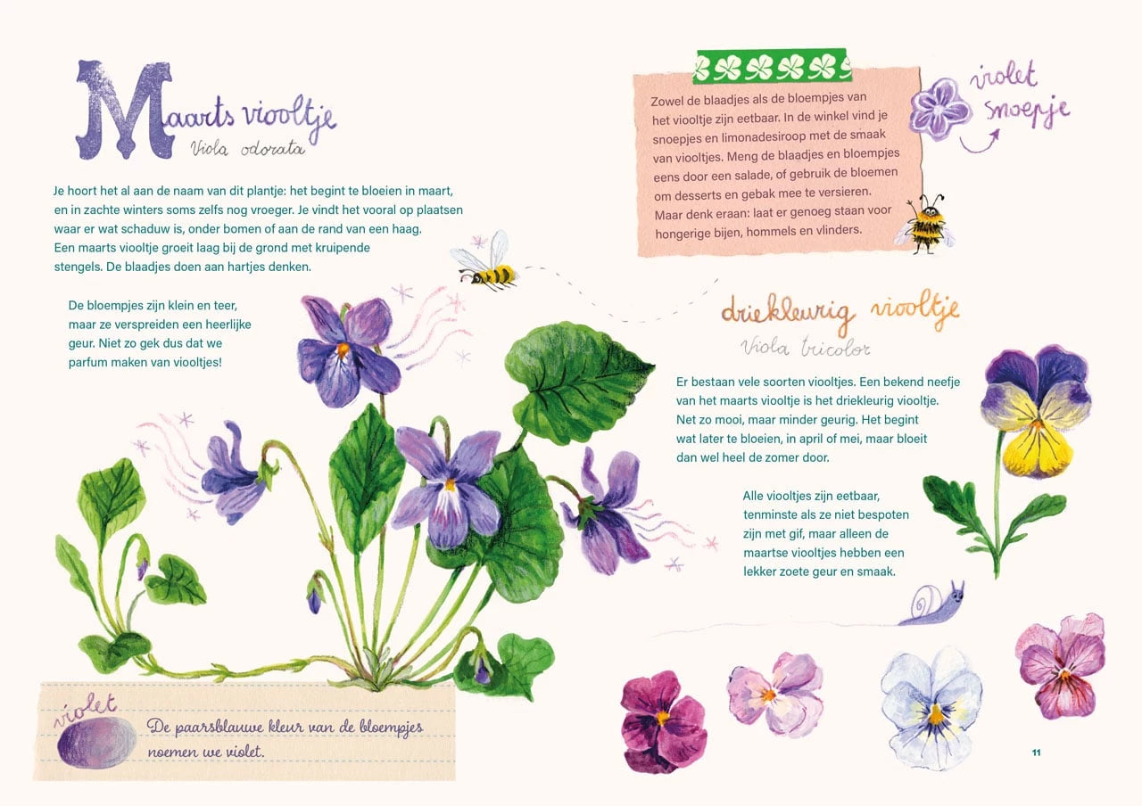 Het grote bloemenboek - Reine De Pelseneer