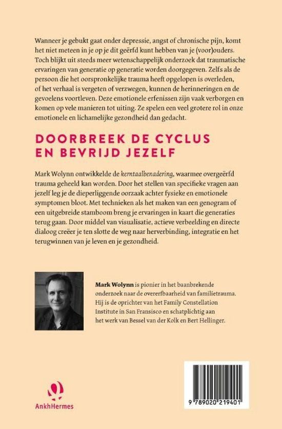 Het is niet met jou begonnen - Mark Wolynn