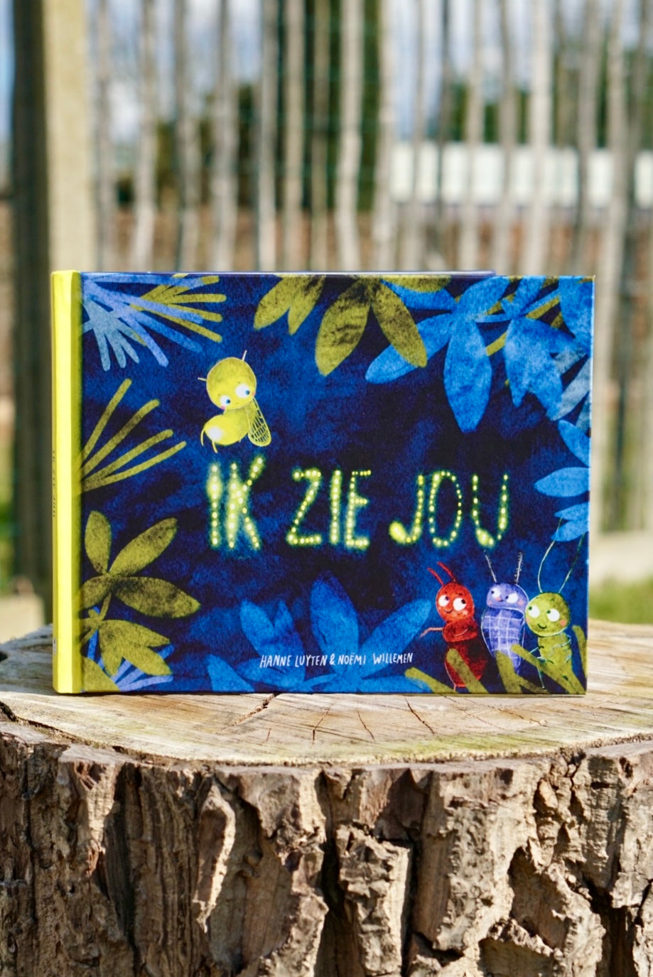 Ik zie jou - Hanne Luyten