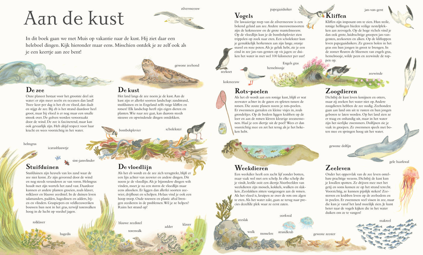 Muis aan zee - Alice Melvin