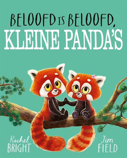 24/06 Beloofd is beloofd, kleine panda's (kartonboek) | Rachel Bright