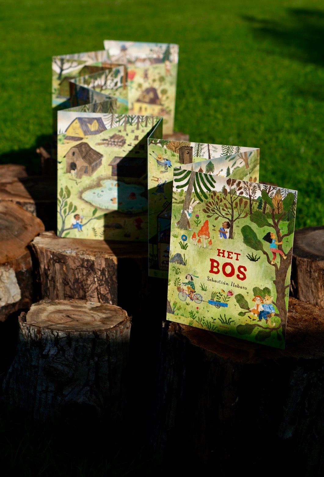 Het bos | Sebastián Ilabaca