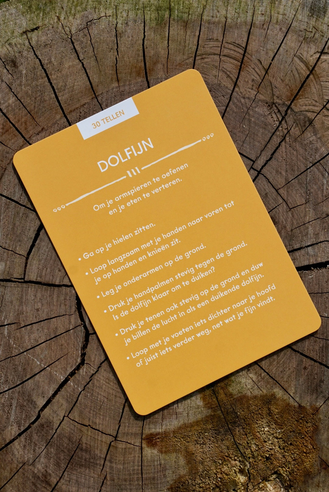 Little yoga kaarten | Lana Katsaros