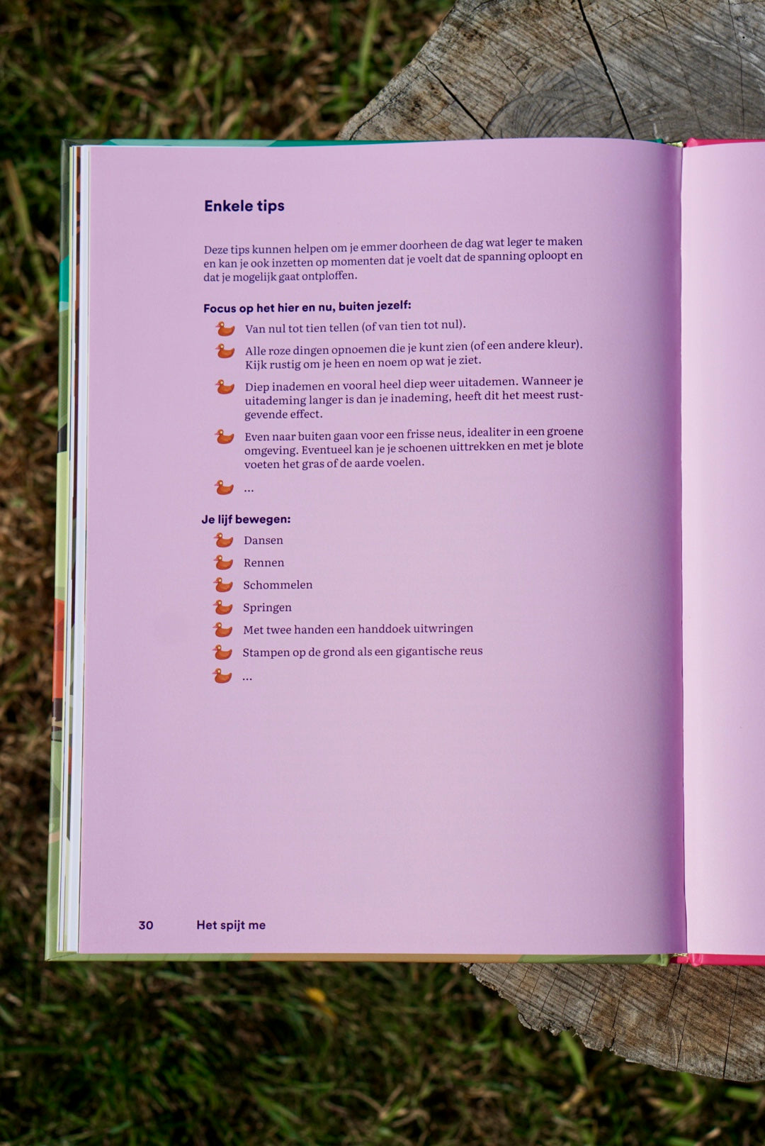 Het spijt me - Anky De Frangh & Julie Vangeel