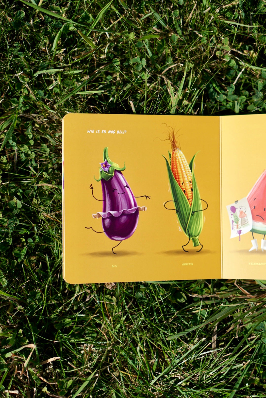 Jij maakt mij framblij - Höngry