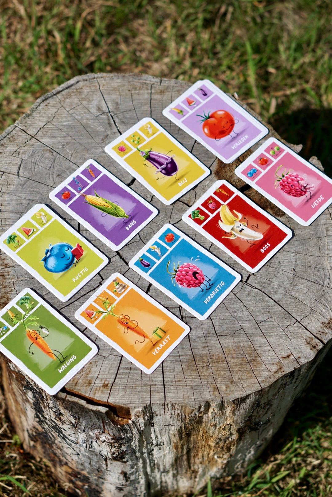 Emotiekaartspel - Höngry