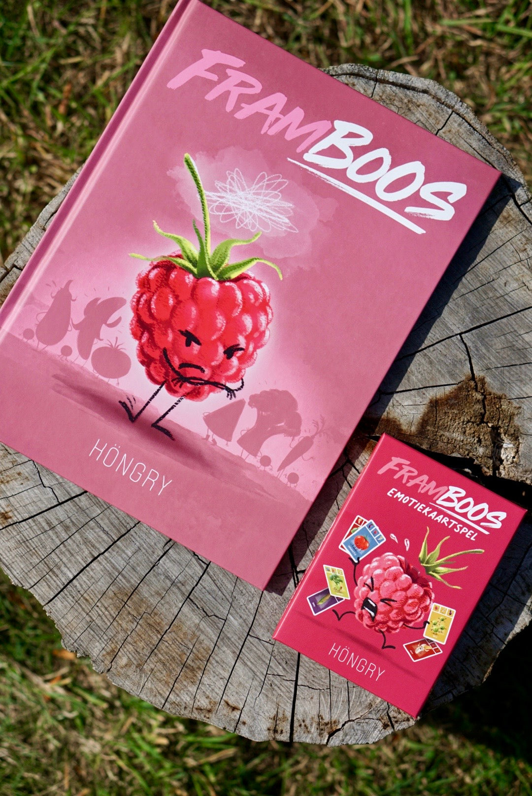 Bundel | Emoties