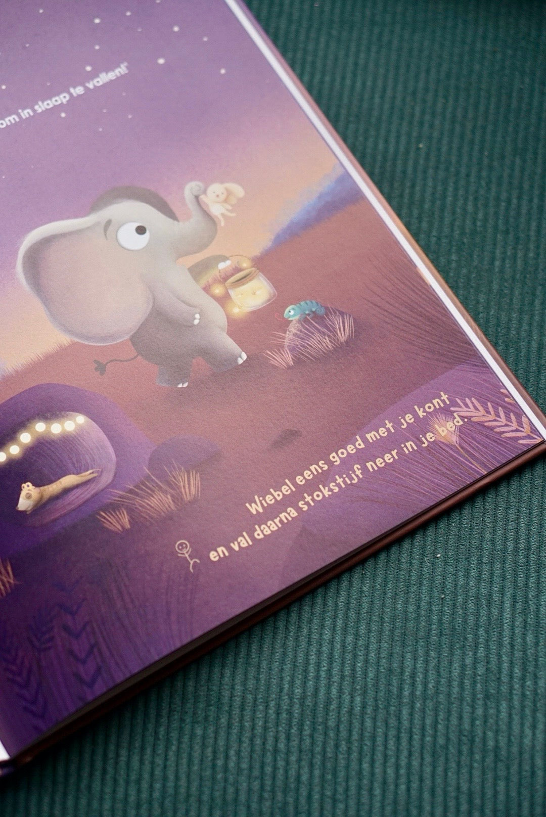 Ollie wil nog niet gaan slapen | Nathalie Schittekatte