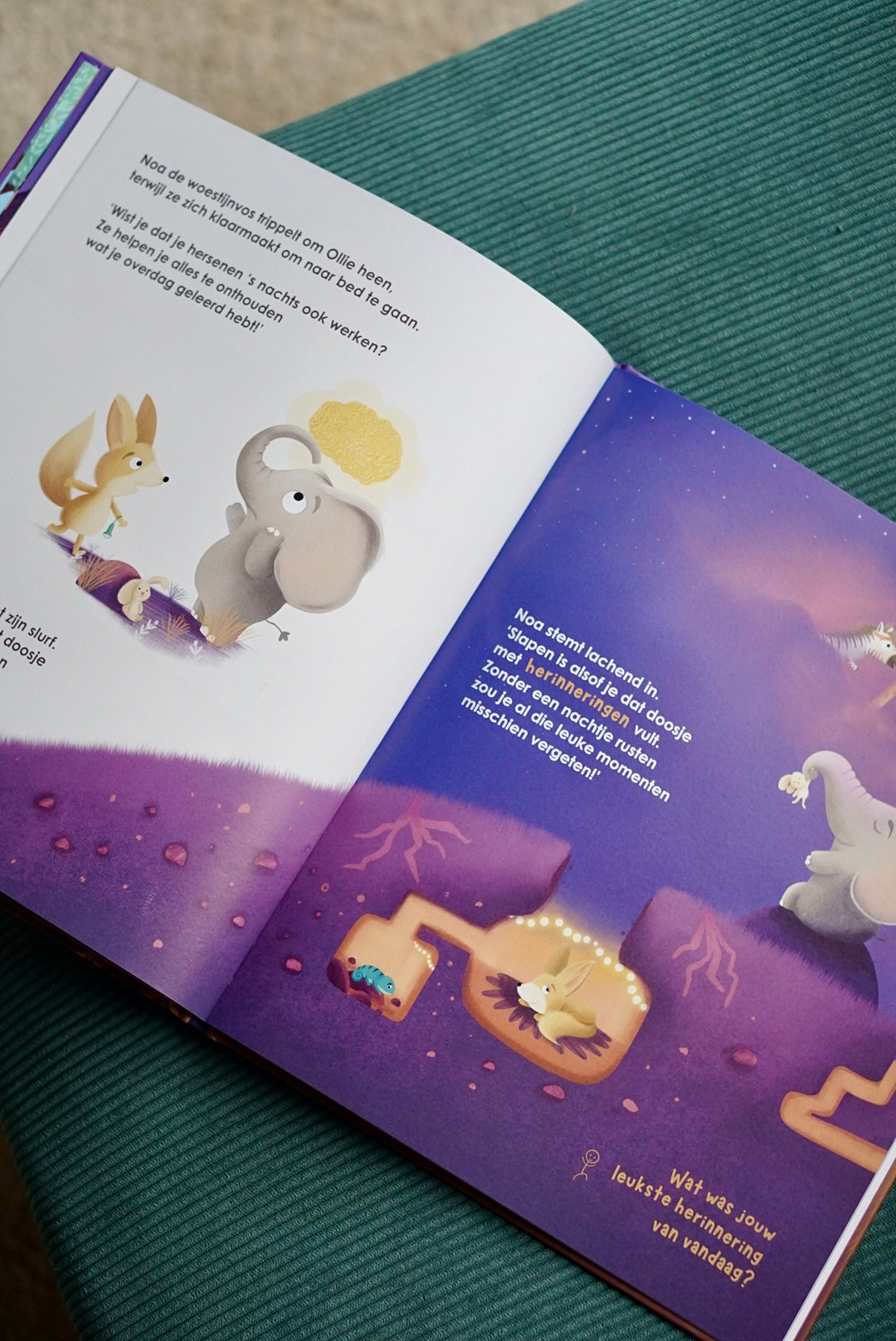 Ollie wil nog niet gaan slapen | Nathalie Schittekatte