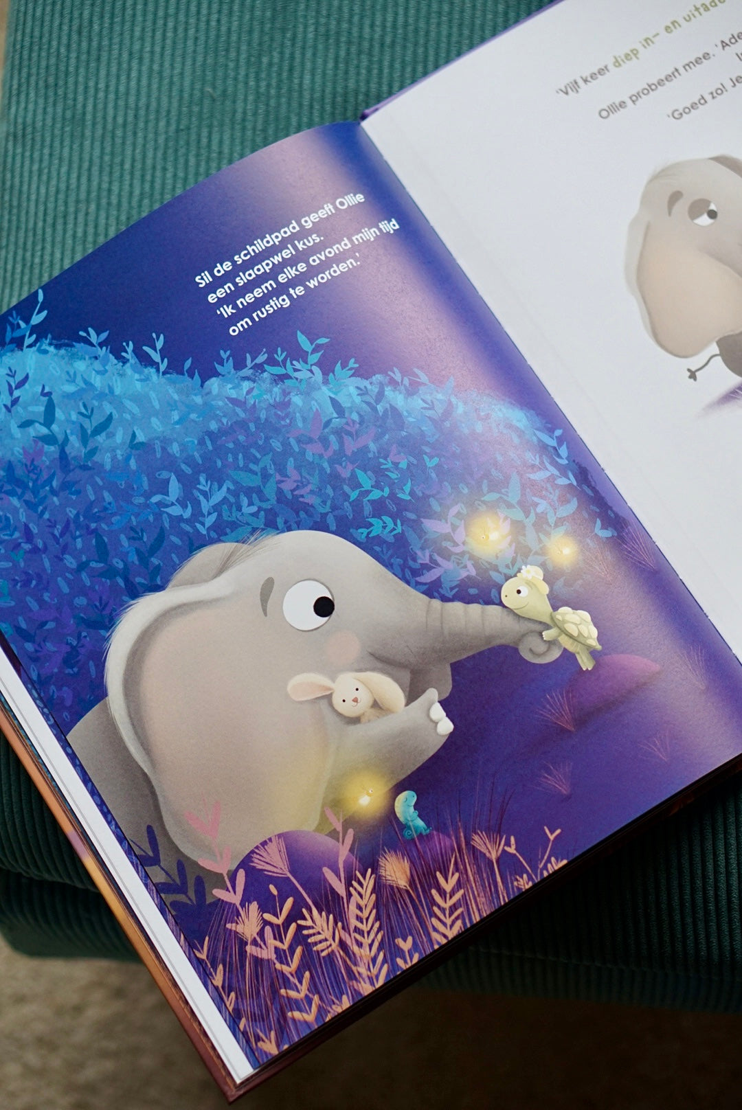 Ollie wil nog niet gaan slapen | Nathalie Schittekatte