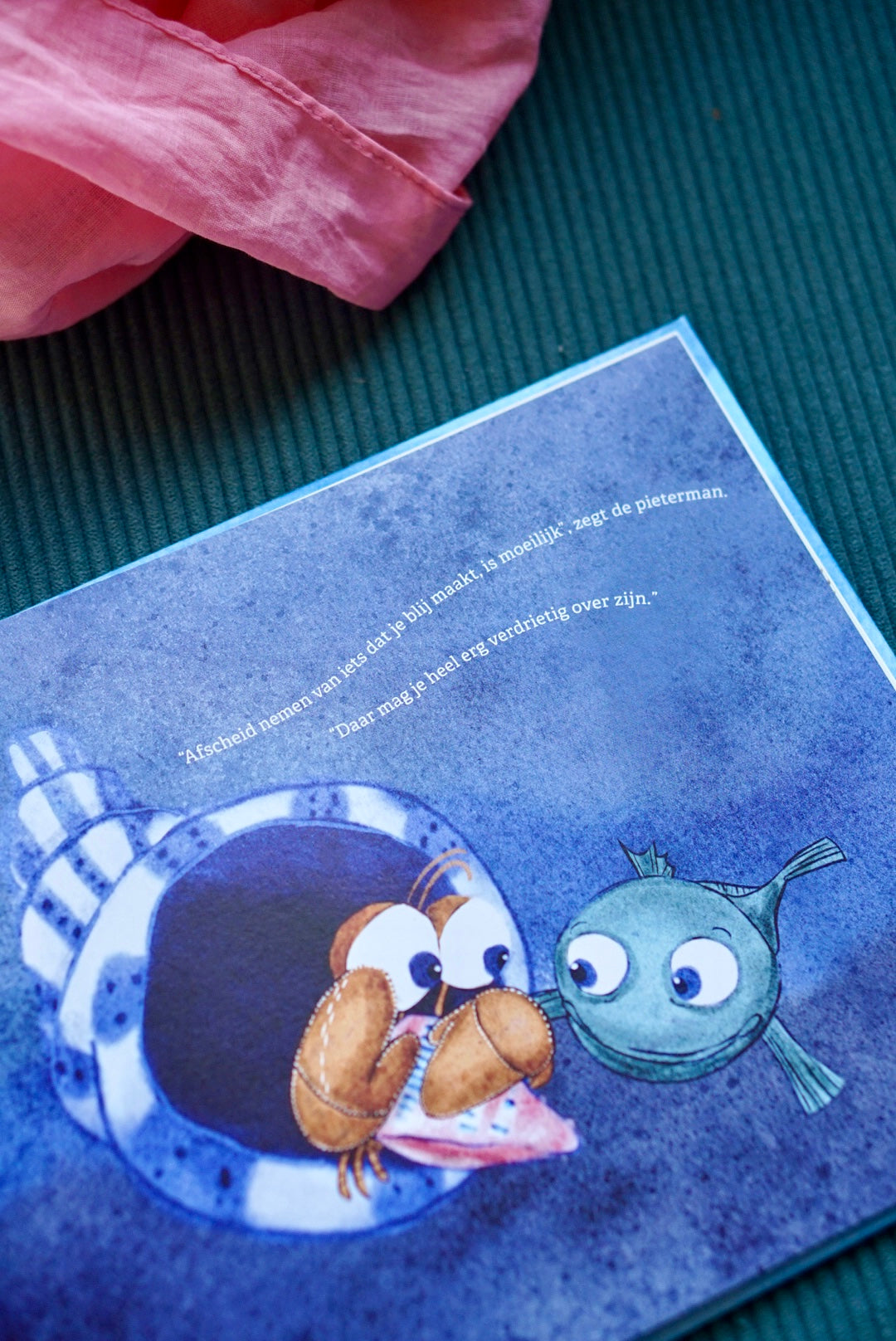 Tot je weer thuis bent | Hanne Luyten