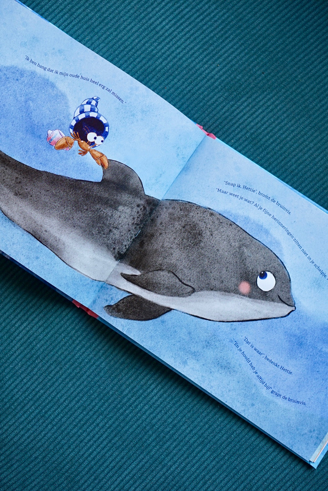 Tot je weer thuis bent | Hanne Luyten