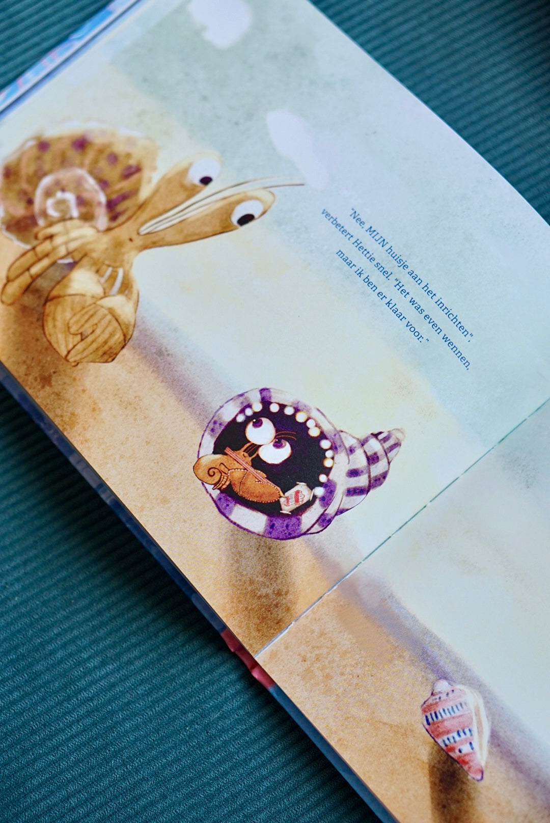 Tot je weer thuis bent | Hanne Luyten