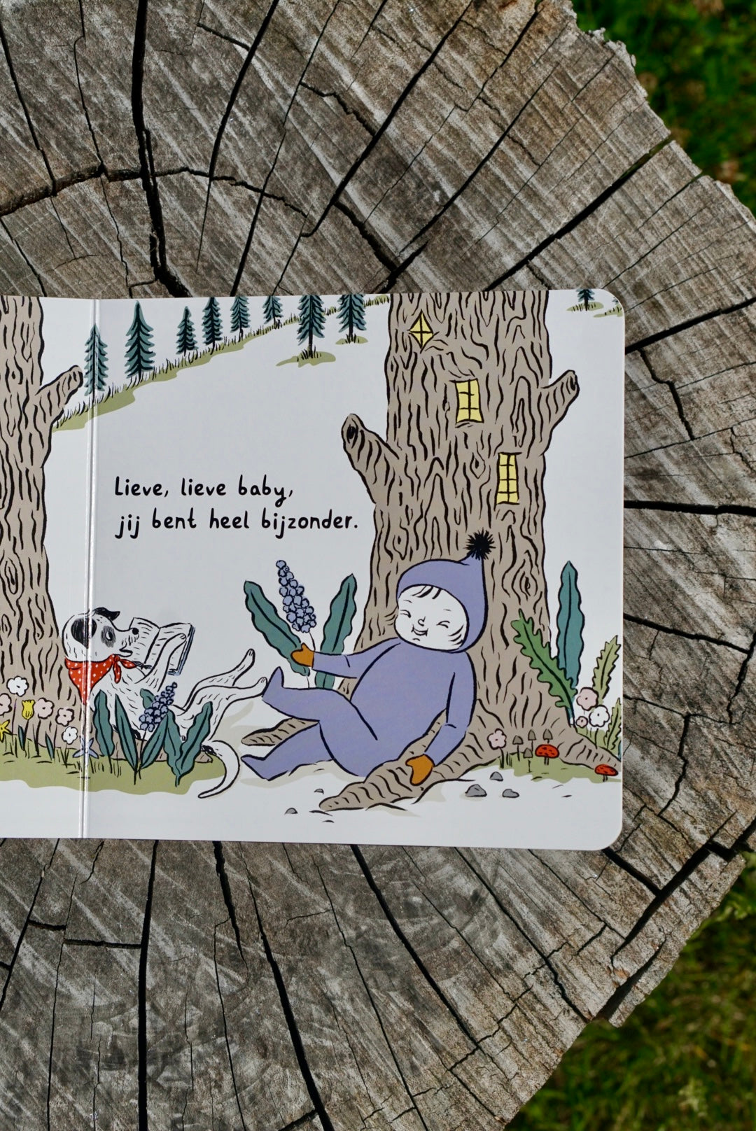 Bundel | Welkom, lieve kleine Kreeft