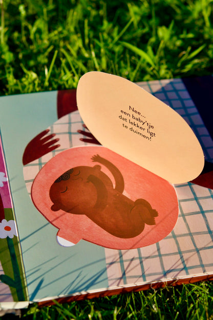 Wat zit er in die dikke buik? | Bette Westera