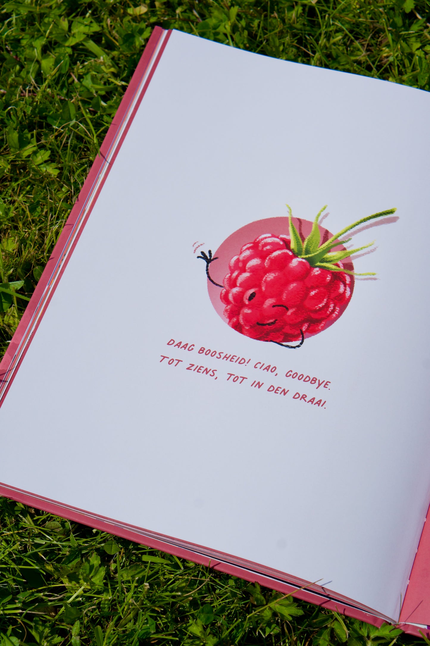 Framboos | Höngry