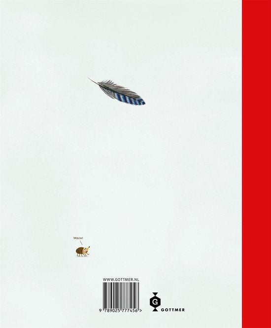 Het kabouterboek - Loes Riphagen