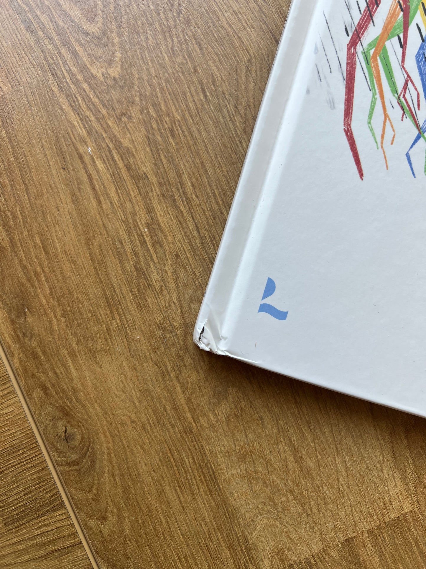 Het grote boek van alle emoties - Steven Gielis (kneusje)