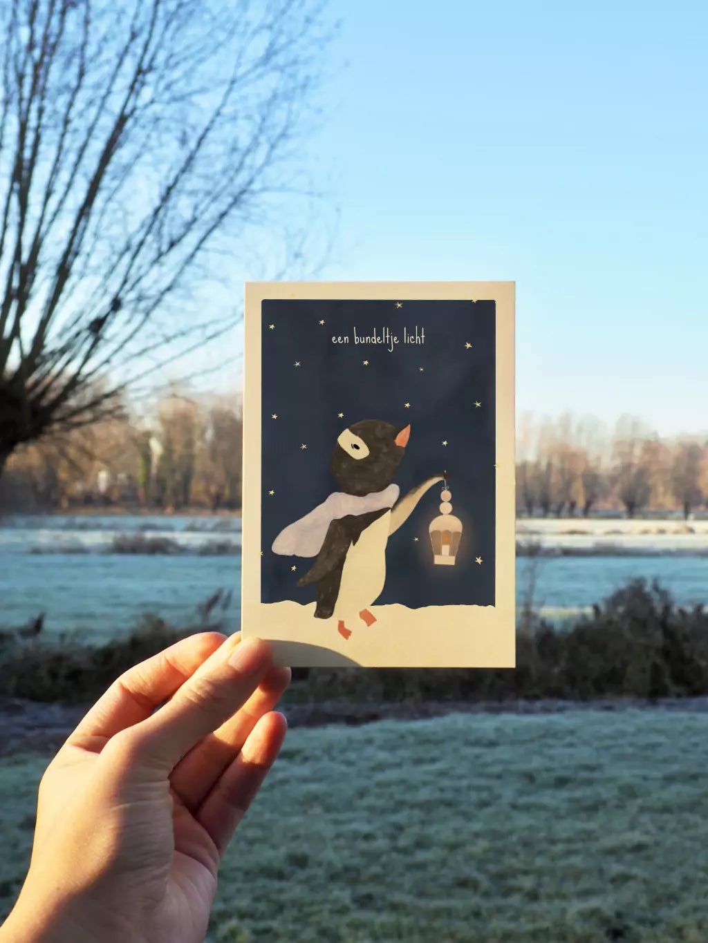 Kerstwensen | Wintervoorraad licht en warmte box