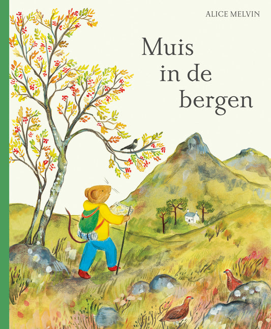 Muis in de bergen | Alice Melvin