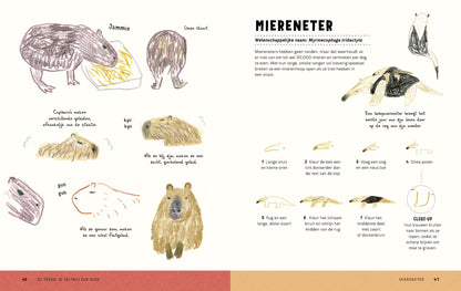 Zo teken je (bijna) elk dier - Chika Miyata