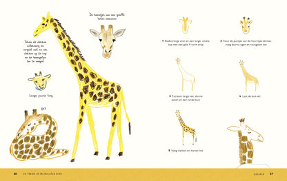 Zo teken je (bijna) elk dier - Chika Miyata